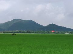 -崖口煲仔饭