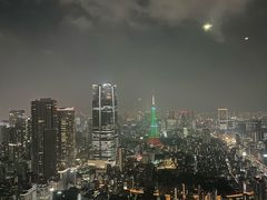 -六本木新城展望台(东京城市景观)