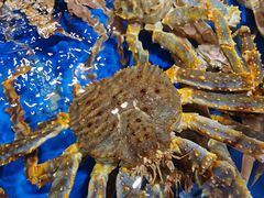 -盒马鲜生(顺义店)