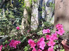-土砂锅生态山庄·非遗砂锅雅鱼