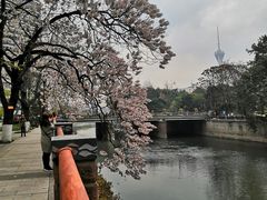 -成都市活水公园