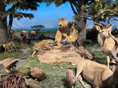 -国家自然博物馆