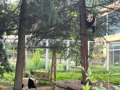 -西安秦岭野生动物园