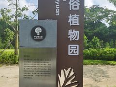 -中山市树木园