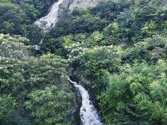 -东白山