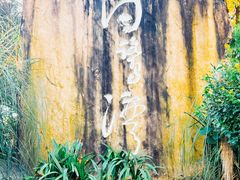 -白鹭湾湿地公园