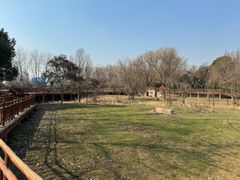 -扬州市茱萸湾风景区