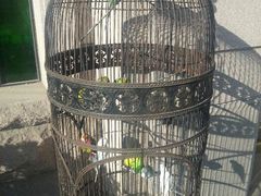 门口的鸟笼-老味道民宿(栈桥店)