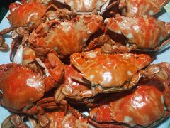 -老字号蛇口德记烧腊饭店·海鲜加工