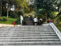 -天鹿湖森林公园