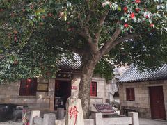 -青岛崂山太清宫