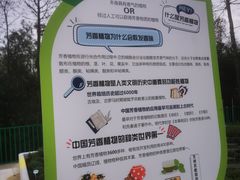 -黄兴公园