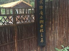 -凤栖山