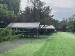 -尚庄度假村·庭台树下·户外烧烤·团建CS·轰趴营地(上庄水库店)