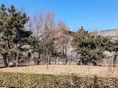 -宛平城