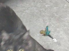 -半岛宠物医院24小时·内窥镜·牙科·碎石中心(府城大道店)