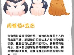 -瑞派·关忠动物医院(国瑞店)