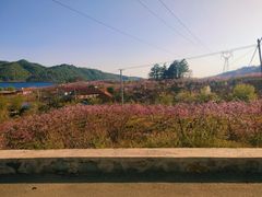 -河口景区