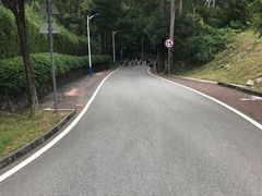 -火炉山森林公园