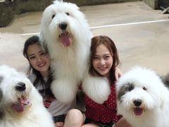 -TrueLove @ Neverland (Husky Cafe)