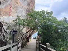 -雁荡山风景名胜区