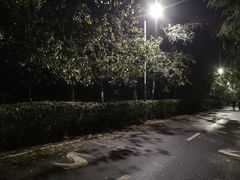 -长白岛森林公园