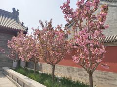 -天津大悲禅院