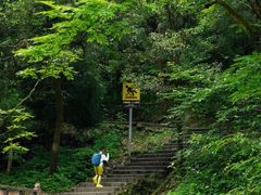 -西岭雪山大飞水景区