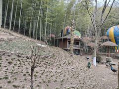 -天目湖山水园