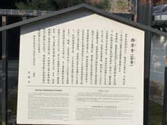 -西芳寺(苔寺)