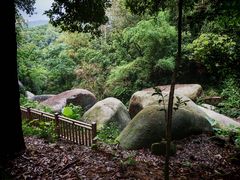 -火炉山森林公园