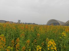 -中国天府农业博览园