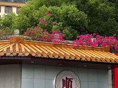 -深圳仙湖植物园