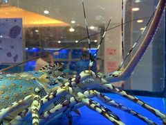 -骏丰酒楼(黄编店)