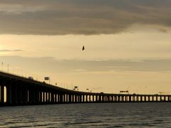 -宝安西湾红树林湿地公园