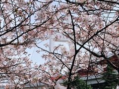 -南浦大桥长途旅游客运站