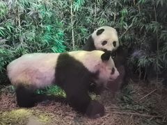 -昆明动物博物馆