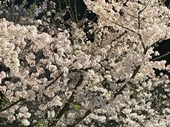 -龙美术馆(西岸馆)