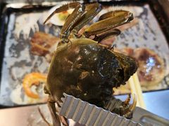 -苏格里岛自助海鲜烤肉火锅(集美万达店)