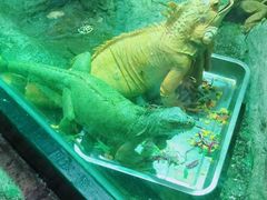 -福州罗源湾海洋世界旅游区