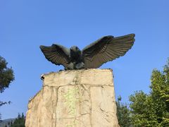-北京鹫峰国家森林公园