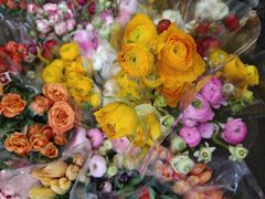 -循礼门鲜花花市(武汉循礼门店)