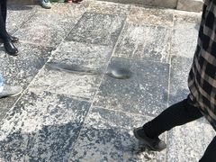 -赵州桥景区