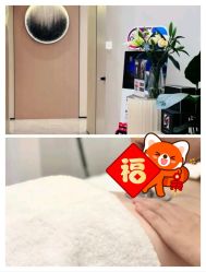 -Fundi张玉珊修身堂·indiba·BTL科技瘦身