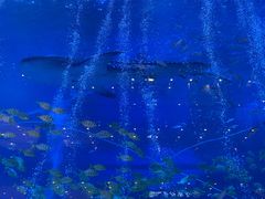 -成都浩海立方海洋公园