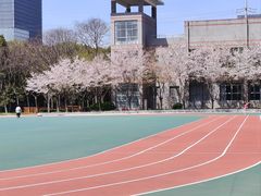 -金陵中学(河西分校)