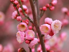 -东林广场(地铁站)