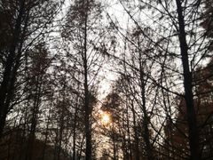 -南京市无想山景区