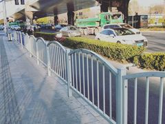 -小杨生煎(龙阳广场店)