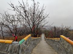 -妙峰山风景名胜区